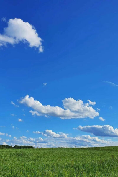 Който е от Бога, той слуша Божиите думи