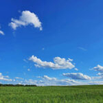 проповедь Эвальда Франка