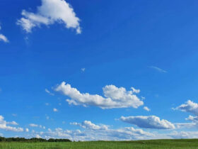 проповедь Эвальда Франка