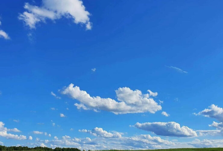 проповедь Эвальда Франка